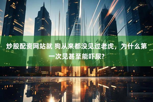 炒股配资网站就 狗从来都没见过老虎，为什么第一次见甚至能吓尿?